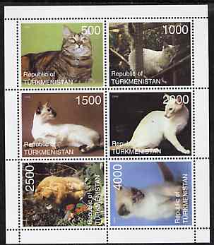 Turkmenistan 1998 Domestic Cats perf sheetlet containing 6 values unmounted mint, stamps on , stamps on  stamps on cats