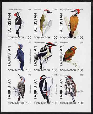 Tadjikistan 1999 Woodpeckers imperf sheetlet containing complete set of 9 values unmounted mint, stamps on , stamps on  stamps on birds, stamps on  stamps on woodpeckers