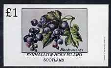 Eynhallow 1982 Fruit (Blackcurrants) imperf souvenir sheet (£1 value) unmounted mint, stamps on fruit   food