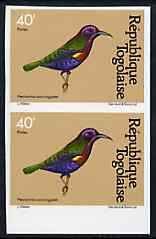 Togo 1981 Sunbird 40f imperf pair from Birds set unmounted mint, as SG 1530, stamps on , stamps on  stamps on birds, stamps on  stamps on sunbirds