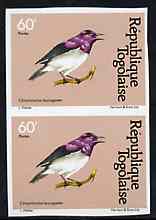 Togo 1981 Starling 60f imperf pair from Birds set unmounted mint, as SG 1531, stamps on , stamps on  stamps on birds, stamps on  stamps on starlings