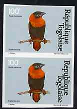 Togo 1981 Red Bishop 100f imperf pair from Birds set unmounted mint, as SG 1534, stamps on , stamps on  stamps on birds, stamps on  stamps on 