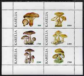 Karelia Republic 1998 Fungi #3 perf sheetlet containing complete set of 6 values unmounted mint, stamps on fungi