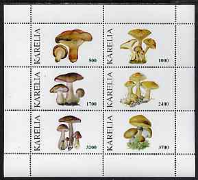 Karelia Republic 1998 Fungi #3 perf sheetlet containing complete set of 6 values unmounted mint, stamps on , stamps on  stamps on fungi