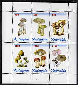 Kalmikia Republic 1998 Fungi #3 perf sheetlet containing complete set of 6 values unmounted mint, stamps on , stamps on  stamps on fungi