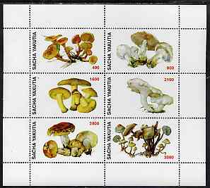 Sakha (Yakutia) Republic 1998 Fungi #3 perf sheetlet containing complete set of 6 values unmounted mint, stamps on , stamps on  stamps on fungi