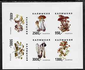 Kalmikia Republic 1998 Fungi imperf sheetlet containing complete set of 6 values unmounted mint, stamps on , stamps on  stamps on fungi