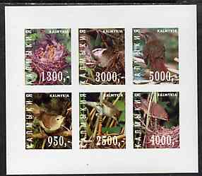 Kalmikia Republic 1998 Birds imperf sheetlet containing complete set of 6 values unmounted mint, stamps on , stamps on  stamps on birds