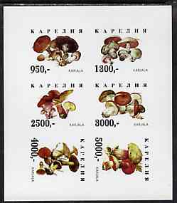 Karjala Republic 1998 Fungi imperf sheetlet containing complete set of 6 values unmounted mint, stamps on fungi