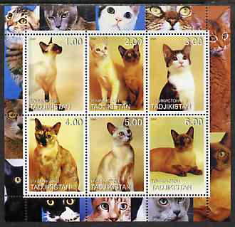 Tadjikistan 2000 Domestic Cats #1 perf sheetlet containing 6 values unmounted mint (vertical format), stamps on cats