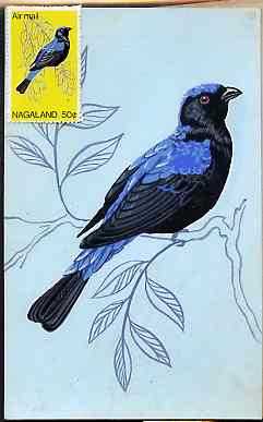 Nagaland 1969 Blue-Backed Fairy Bluebird - original hand-painted artwork as used for 50c (except branch outline has been changed) on board 110 mm x 180 mm complete with issued stamp, stamps on , stamps on  stamps on birds