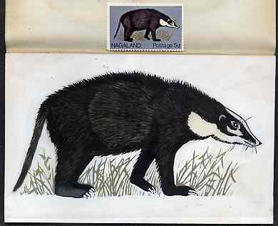 Nagaland 1969 Hog Badger - original hand-painted artwork as used for 5c (except grass outline has been changed) on board 180 mm x 110 mm complete with issued stamp, stamps on animals, stamps on squirrels