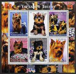 Turkmenistan 2000 Yorkshire Terrier perf sheetlet containing 6 values unmounted mint, stamps on , stamps on  stamps on dogs