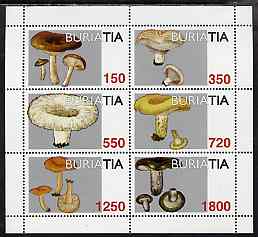 Buriatia Republic 1997 Fungi perf sheetlet containing complete set of 6 values unmounted mint, stamps on , stamps on  stamps on fungi