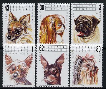 Bulgaria 1991 Dogs set of 6 unmounted mint, SG 3784-89 (Mi 3929-34)*, stamps on , stamps on  stamps on animals  dogs    chin     chihuahua   pinscher   york-terrier   pug   mexican-hairless