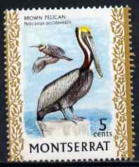 Montserrat 1970-74 Brown Pelican 5c on chalky paper unmounted mint, SG 246, stamps on , stamps on  stamps on birds, stamps on  stamps on pelicans