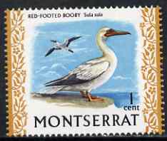 Montserrat 1970-74 Red Footed Booby 1c on chalky paper unmounted mint, SG 242, stamps on , stamps on  stamps on birds, stamps on  stamps on 