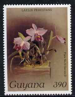 Guyana 1985-89 Orchids Series 2 plate 06 (Sanders' Reichenbachia) 390c unmounted mint, SG 1881, stamps on , stamps on  stamps on orchids, stamps on  stamps on flowers