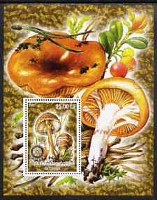 Congo 2002 Fungi #2 perf m/sheet with Rotary Logo unmounted mint, stamps on fungi, stamps on rotary