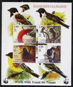 Kabardino-Balkaria Republic 1998 WWF imperf sheetlet containing set of 4 values unmounted mint, stamps on , stamps on  stamps on wwf, stamps on  stamps on birds, stamps on  stamps on  wwf , stamps on  stamps on animals, stamps on  stamps on birds of paradise