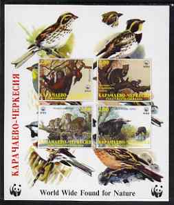 Karachaevo-Cherkesia Republic 1998 WWF imperf sheetlet containing set of 4 values unmounted mint, stamps on , stamps on  stamps on wwf, stamps on  stamps on birds, stamps on  stamps on  wwf , stamps on  stamps on animals, stamps on  stamps on apes, stamps on  stamps on cats