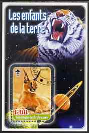 Central African Republic 2005 Young Animals of the World #2 (Big Cats) perf souvenir sheet containing 1 value with Scout logo, fine cto used, stamps on , stamps on  stamps on animals, stamps on  stamps on scouts, stamps on  stamps on cats, stamps on  stamps on saturn, stamps on  stamps on planets, stamps on  stamps on tigers