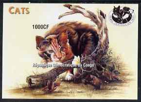 Congo 2005 Domestic Cats imperf m/sheet unmounted mint, stamps on cats