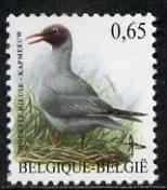 Belgium 2002-09 Birds #5 Black-Headed Gull 0.65 Euro unmounted mint, SG 3703, stamps on birds, stamps on 