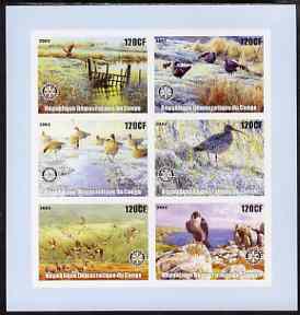 Congo 2003 Birds imperf sheetlet containing 6 x 120 cf values each with Rotary Logo, unmounted mint, stamps on , stamps on  stamps on rotary, stamps on  stamps on birds, stamps on  stamps on birds of prey