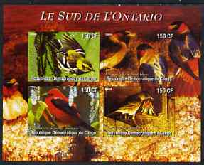 Congo 2004 Birds - Le Sud de L'Ontario imperf sheetlet containing 4 values unmounted mint , stamps on , stamps on  stamps on birds