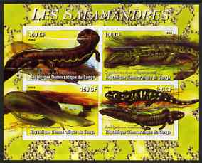 Congo 2004 Salamanders imperf sheetlet containing 4 values unmounted mint, stamps on , stamps on  stamps on animals, stamps on  stamps on 