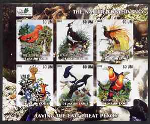 Mauritania 2003 The Nature Conservancy imperf sheetlet containing set of 6 values (Birds by John Audubon) unmounted mint, stamps on , stamps on  stamps on wildlife, stamps on  stamps on environment, stamps on  stamps on birds, stamps on  stamps on audubon