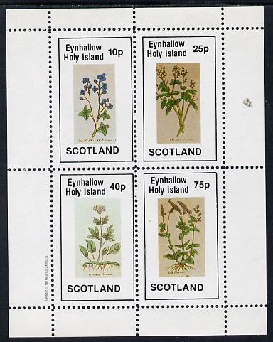 Eynhallow 1982 Wild Flowers perf sheetlet containing set of 4 values unmounted mint, stamps on , stamps on  stamps on flowers