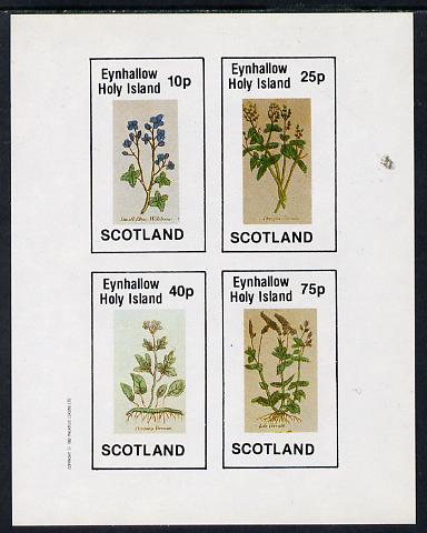 Eynhallow 1982 Wild Flowers imperf sheetlet containing set of 4 values unmounted mint, stamps on , stamps on  stamps on flowers