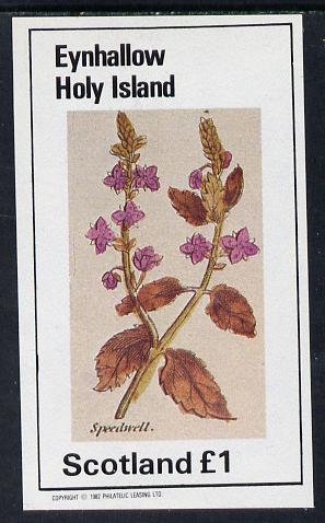 Eynhallow 1982 Wild Flowers (Speedwell) imperf souvenir sheet (Â£1 value) unmounted mint, stamps on , stamps on  stamps on flowers