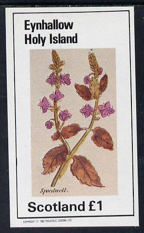 Eynhallow 1982 Wild Flowers (Speedwell) imperf souvenir sheet (£1 value) unmounted mint, stamps on flowers