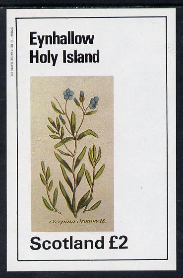 Eynhallow 1982 Wild Flowers (Creeping Cromwell) imperf deluxe sheet (£2 value) unmounted mint, stamps on flowers