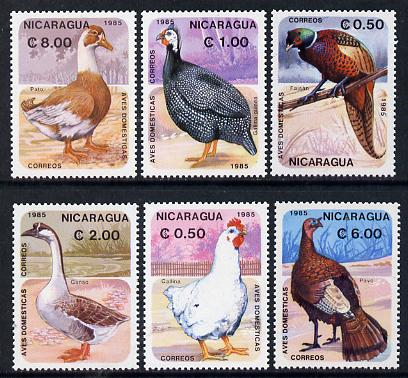 Nicaragua 1985 Domestic Birds set of 6 unmounted mint, SG 2686-91, stamps on , stamps on  stamps on birds, stamps on  stamps on pheasant, stamps on  stamps on hen, stamps on  stamps on guinea fowl, stamps on  stamps on goose, stamps on  stamps on turkey, stamps on  stamps on duck