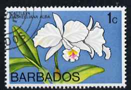 Barbados 1974-77 Cattleya gaskelliana alba 1c Orchid fine cds used SG 485, stamps on flowers, stamps on orchids
