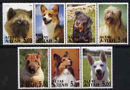Altaj Republic 2000 Dogs perf set of 7 values complete unmounted mint, stamps on , stamps on  stamps on dogs, stamps on  stamps on 
