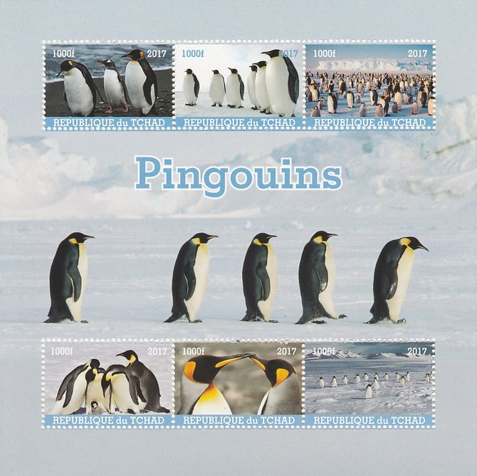 Chad 2017 Penguins perf sheetlet containing 6 values unmounted mint. Note this item is privately produced and is offered purely on its thematic appeal. . , stamps on , stamps on  stamps on birds, stamps on  stamps on penguins, stamps on  stamps on polar