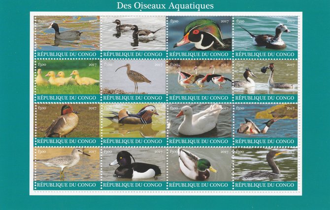 Congo 2017 Water Birds perf sheetlet containing 16 values unmounted mint. Note this item is privately produced and is offered purely on its thematic appeal, stamps on birds, stamps on ducks, stamps on 