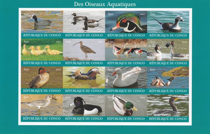 Congo 2017 Water Birds imperf sheetlet containing 16 values unmounted mint Note this item is privately produced and is offered purely on its thematic appeal, it has no postal validity, stamps on birds, stamps on ducks, stamps on 