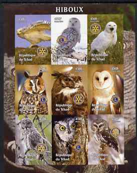 Chad 2004 Owls imperf sheetlet containing 9 values each with Rotary or Lions Int Logos unmounted mint, stamps on , stamps on  stamps on birds, stamps on  stamps on birds of prey, stamps on  stamps on owls, stamps on  stamps on lions int, stamps on  stamps on rotary