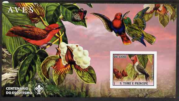 St Thomas & Prince Islands 2007 Birds #1 large imperf s/sheet containing 1 value (Scout logo in background) unmounted mint, stamps on , stamps on  stamps on birds, stamps on  stamps on scouts