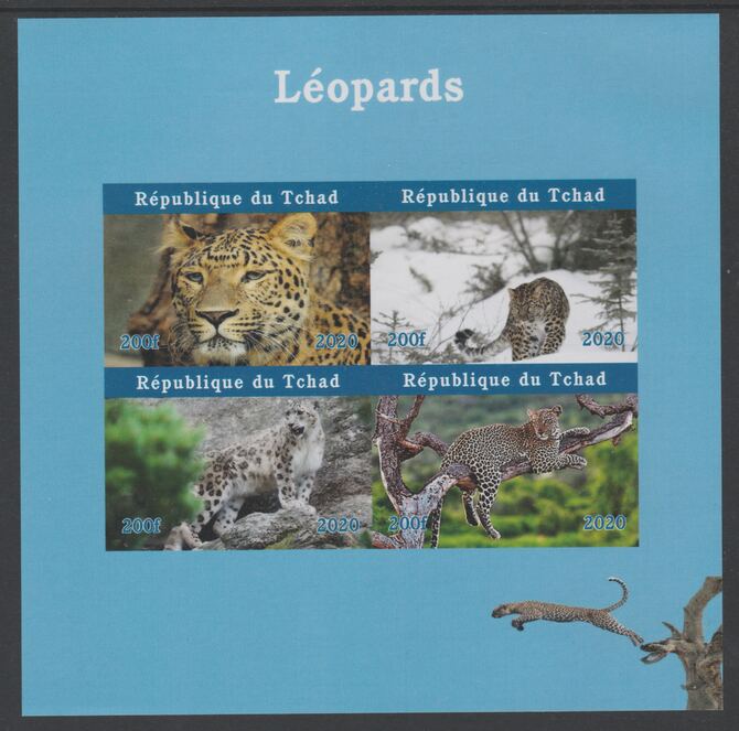 Chad 2020 Leopards imperf sheetlet containing 4 values unmounted mint. Note this item is privately produced and is offered purely on its thematic appeal, stamps on , stamps on  stamps on leopards, stamps on  stamps on cats, stamps on  stamps on animals