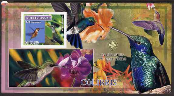 Guinea - Bissau 2007 Birds - Hummingbirds large imperf s/sheet containing 1 value (Scout logo in background) unmounted mint, stamps on , stamps on  stamps on birds, stamps on  stamps on scouts, stamps on  stamps on hummingbirds