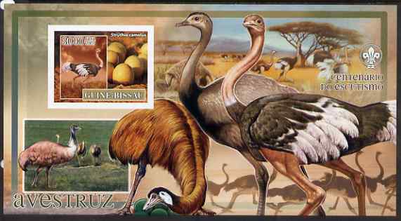 Guinea - Bissau 2007 Birds - Ostriches large imperf s/sheet containing 1 value (Scout logo in background) unmounted mint, stamps on , stamps on  stamps on birds, stamps on  stamps on scouts, stamps on  stamps on ostrich