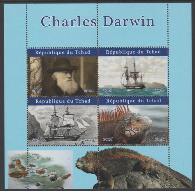 Chad 2020 Charles Darwin perf sheetlet containing 4 values unmounted mint. Note this item is privately produced and is offered purely on its thematic appeal, stamps on , stamps on  stamps on personalities, stamps on  stamps on darwin, stamps on  stamps on ships, stamps on  stamps on animals