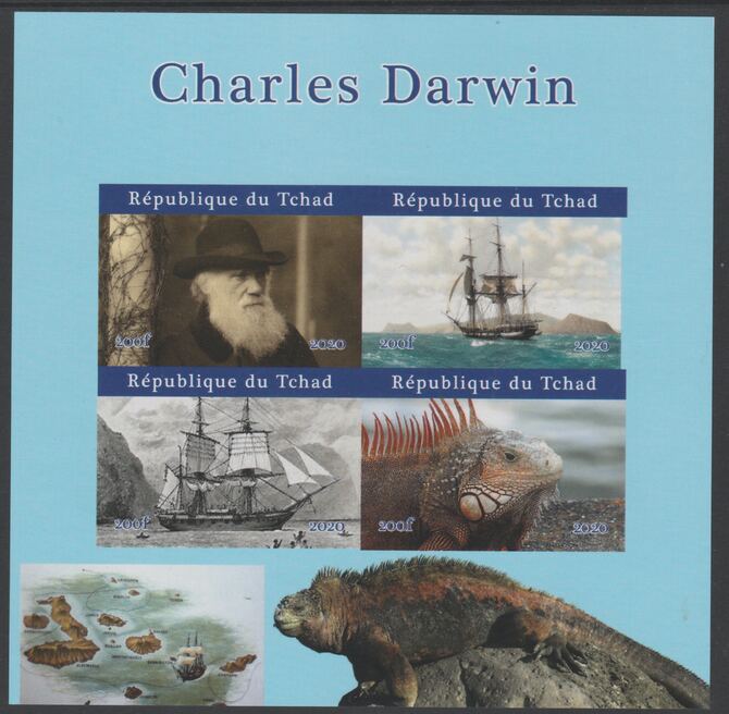 Chad 2020 Charles Darwin imperf sheetlet containing 4 values unmounted mint. Note this item is privately produced and is offered purely on its thematic appeal, stamps on , stamps on  stamps on personalities, stamps on  stamps on darwin, stamps on  stamps on ships, stamps on  stamps on animals